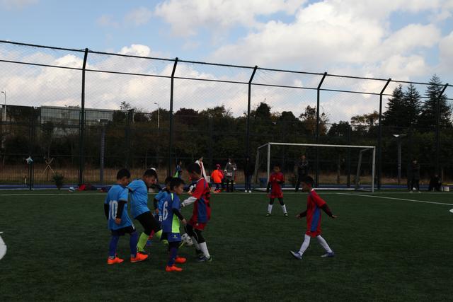 稀缺的郑钦文 中国体育国际化偶像有几个